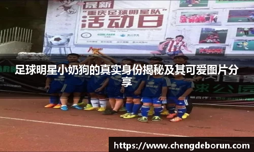 k1体育-十年品牌