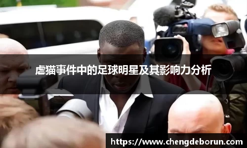 虐猫事件中的足球明星及其影响力分析